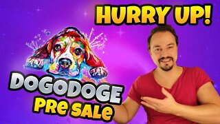 DOGODOGE Pre Sale is your next 100x Coin