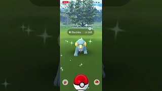 Shiny Compilation