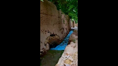 Taft Pomegranate Gardens Alley, Yazd Iran