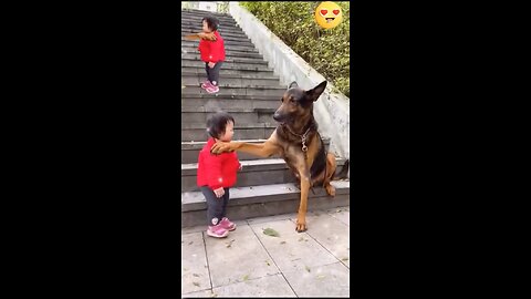 Dog fun with baby