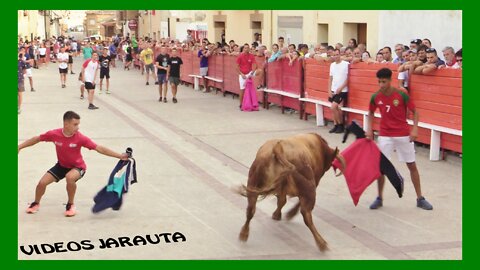 CADREITA ( NAVARRA ) TARDE VACAS CALLE ( VIERNES 22 JULIO 2022 ) EULOGIO MATEO