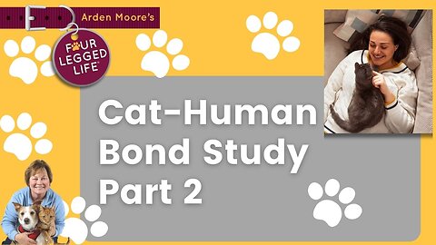 Cat-Human Bond Study Pt2