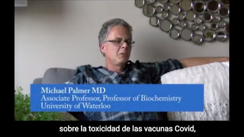 Toxicidad lipídica de las vacunas ARNm Covid-19 - Dr. Michael Palmer