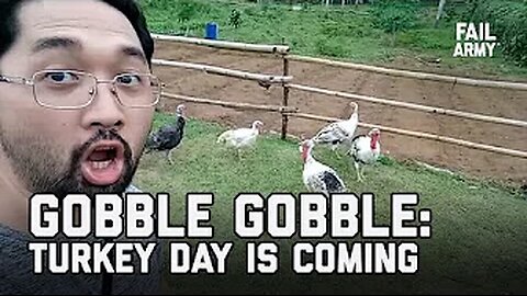 Gobble Gobble: Turkey Day is Coming