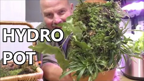 Vertplanter - Observer Planter / Hydroponic Plant Pot - First Look