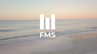 FMS - Free Non Copyright EDM Music #009