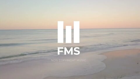 FMS - Free Non Copyright EDM Music #009