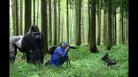 Wild Animals caught Scaring People during filming them | Top Trending Video