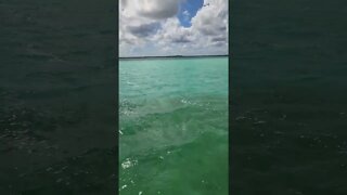 Bacalar Lagoon (7 Color Lagoon) - Part 12