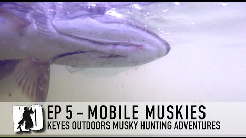 Mobile Muskies