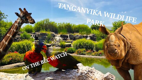 BEC Watch Entries: #5 Tanganyika Wildlife Park