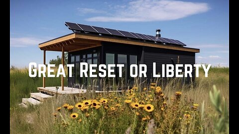Great Reset or Liberty