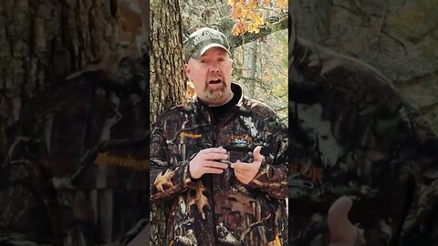 Mature Bucks do most of the breeding || Whitetail Myths #deer #deerhunting #biology #shorts