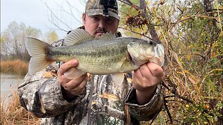 BIG BASS CAUGHT IN FLOODED CITY POND (INSANE)