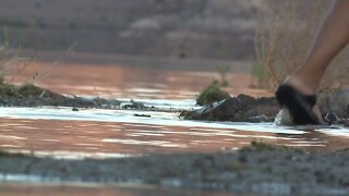 Lake visitors shaken by brain eating amoeba death of local boy