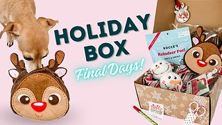 Don't Miss This Year's Snuffle Toy Club Holiday Box!