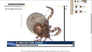 South Milwaukee Health Department issues tick warning
