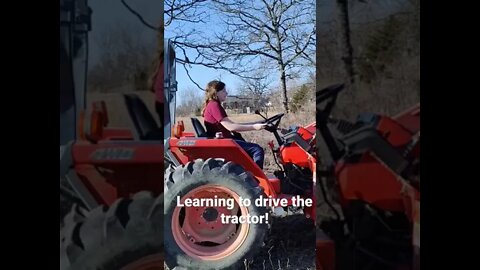 Learning to drive the tractor! #shorts #homesteading #fromtherootsup #tractor #farmlife #kubota