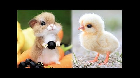 Cute Baby Animals Videos Compilation | Funny and Cute Moment of the Animals #4 - Cutest Animals