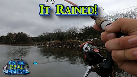 Bank Fishing for ANYTHING After the Rain!