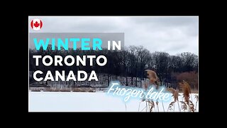 Winter in Toronto Canada (frozen lake at high park) | Living in Canada