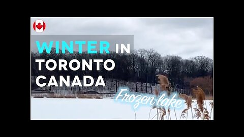 Winter in Toronto Canada (frozen lake at high park) | Living in Canada