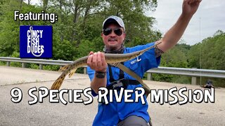 9 species caught on the East Fork Little Miami (featuring Cincy Fish Dudes)