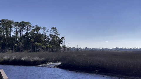 Walks in Paradise Part 1- Lower Suwannee National Wildlife Refuge- #walks #FYP #4K