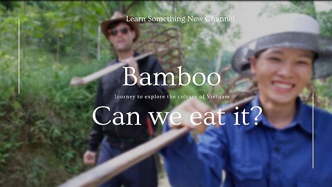 BAMBOO: Can You EAT It? (Lâm Thượng, Lục Yên, Yên Bái)