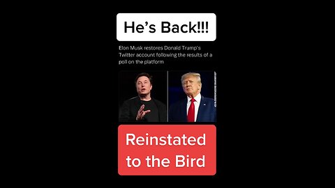 Elon Musk reinstates Donald Trump to Twitter