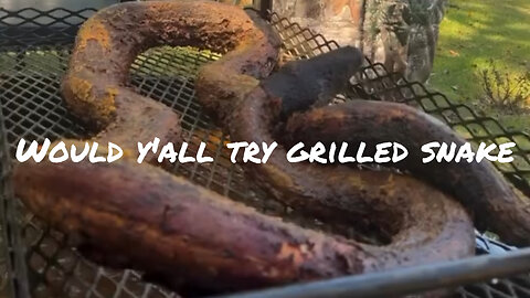 Grilled snake, would you try it?