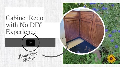 How to do a Cabinet Remodel with No DIY Experience | Updating the Urban Homestead