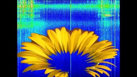 Schumann Resonance September 21 Technological Effect, Attempts to Algorythmize God, Human Potential