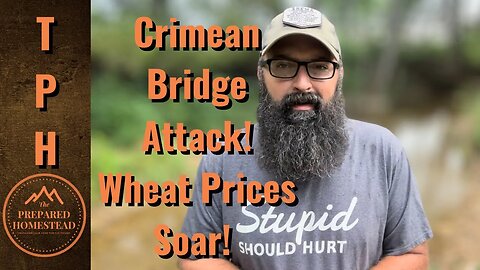 Crimean Bridge Attack! Wheat Prices Soaring!
