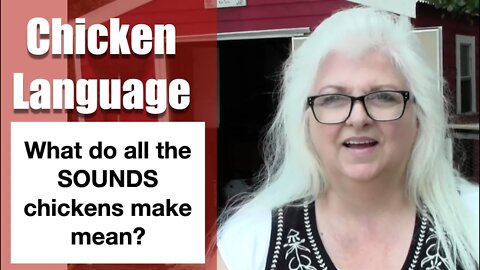 Chicken Language Understanding Their Sounds