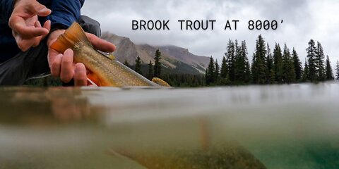 Fly Fishing Series EP 1 - High Mountain Brook Trout on the fly in Northern BC / 8000' ASL!!