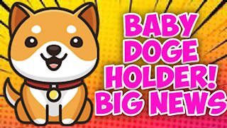 Baby Dogecoin Altcoin | How It Work's | 228 Billion Coin's for $450..