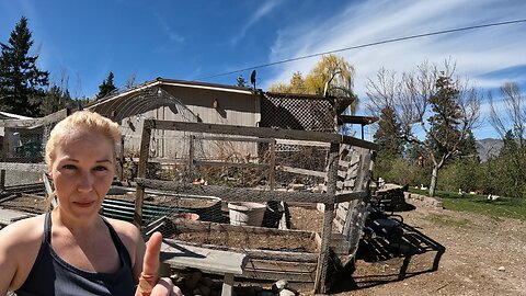 Preparing The Raised Garden Beds and Building a New Duck Coop