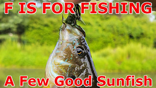 A Few Good Sunfish