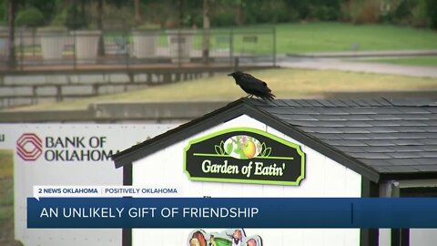 An unexpected gift of friendship at Tulsa Botanic Garden