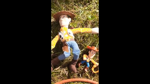 woody leaf blower ASMR