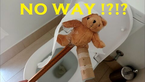 Unblock Toilet with a TEDDY BEAR!