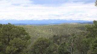 LDS 40 Acres Views BLM