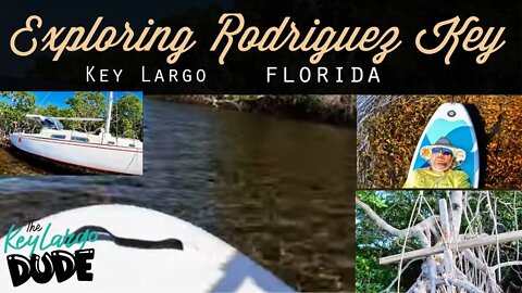 Found abandoned Sailboat & mysterious memorial while paddle boarding in Rodriguez Key, Key Largo