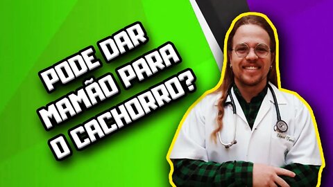 Cachorro pode comer mamão? #shorts