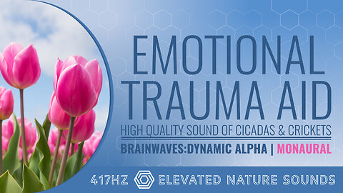 Emotional Trauma Aid 417Hz Pure Tone Monaural BWE Dynamic Alpha Relaxation Sleep Focus Healing