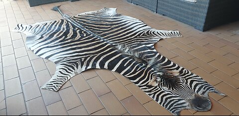 Small Dark Zebra Hide