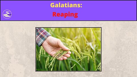 Galatians: Reaping