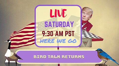 Saturday *LIVE* The Return of BirdTalk
