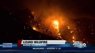 Lizard Fire containment at 5 percent